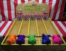 Pig Races